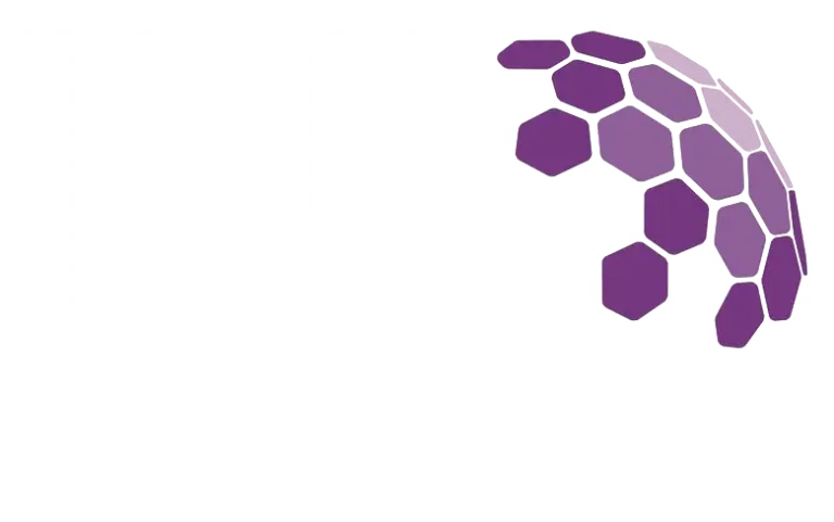 Logo INL